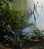 Filename=MyFavoriteScene.jpg
Filesize=583KB
Dimensions=891x993
Date added=May 13, 2010 MyFavoriteScene.jpg