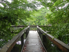 Filename=NaturewalkanddocNewPort.jpg
Filesize=307KB
Dimensions=550x420
Date added=May 13, 2010 NaturewalkanddocNewPort.jpg