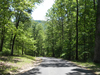 Filename=Verysteeponewaystreets.jpg
Filesize=305KB
Dimensions=550x413
Date added=May 13, 2010 Verysteeponewaystreets.jpg