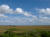 Filename=gladesclouds.png
Filesize=716KB
Dimensions=800x600
Date added=Mar 03, 2010 gladesclouds.png