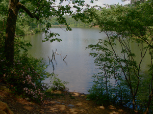 fdr3